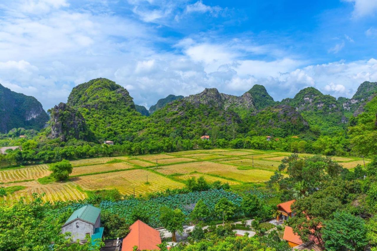 Green Mountain Homestay Ninh Binh Esterno foto